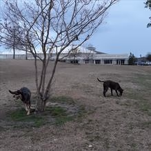 Barc Parc North